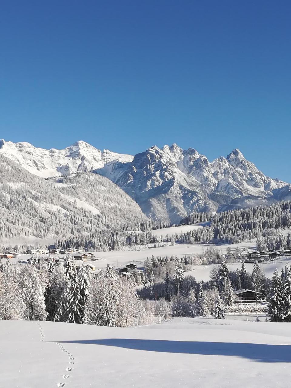 Haus Horngacher ฟีบาบรุนน์ ภายนอก รูปภาพ